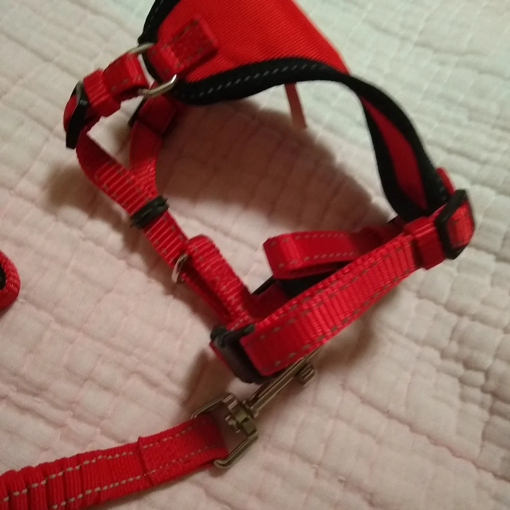 Red Cat Harness and Leash Set